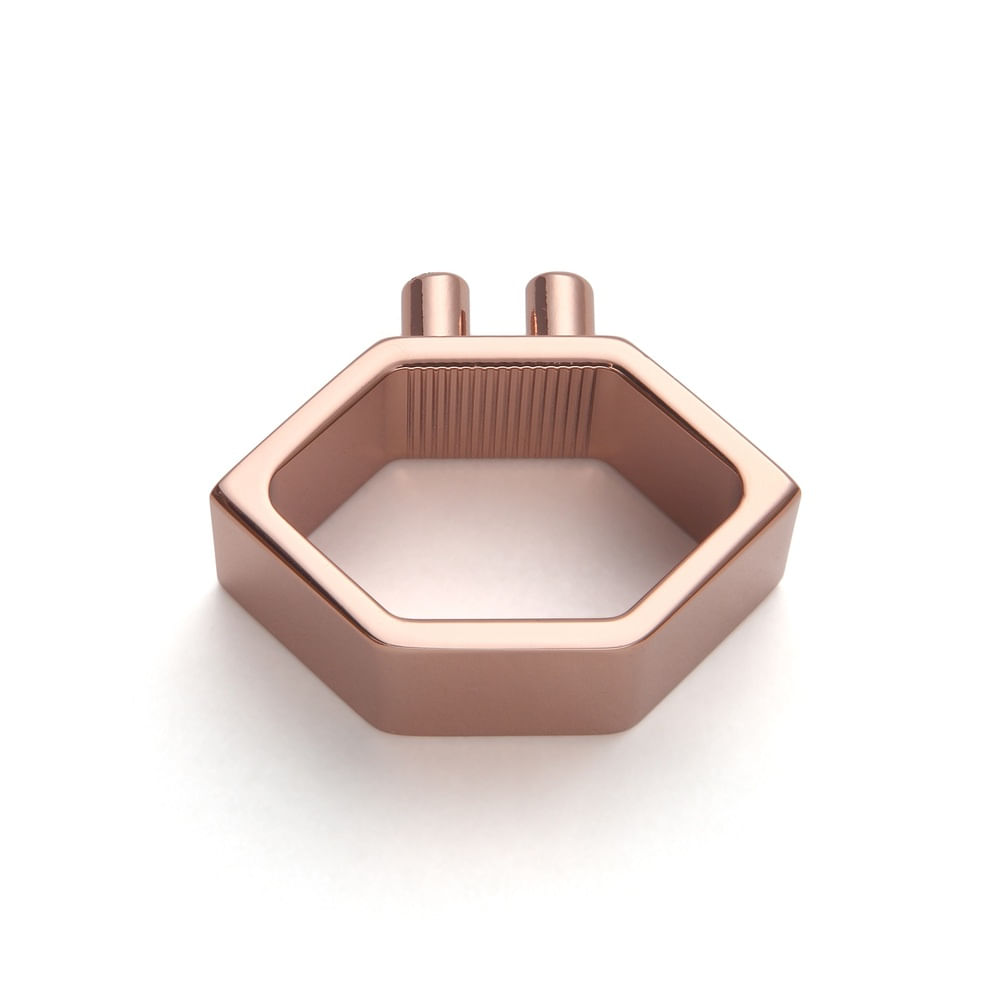 Elemento P_Rose_2